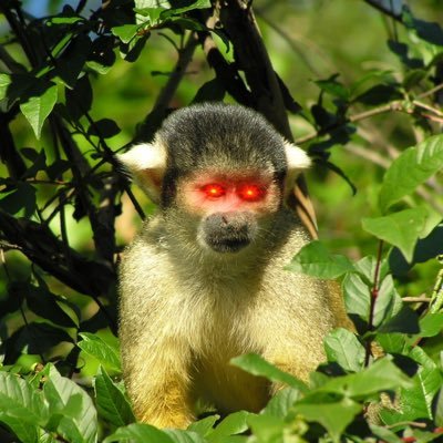 pasis_007's profile picture. 