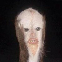 . (@only1mini) 's Twitter Profile