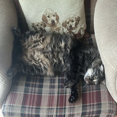 EVRSLK's profile picture. 