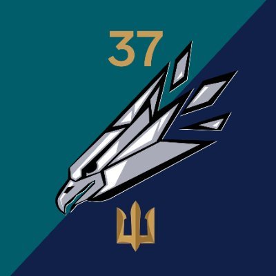 (не)офіційний твіттер батальйону безпілотних систем Mad Hawks 37 окремої бригади морської піхоти