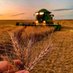 Farm to Future (@agri4food) Twitter profile photo Farm to Future (@agri4food) Twitter profile photo