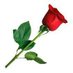 X Empire=$5 (@bitcoin15099407) Twitter profile photo X Empire=$5 (@bitcoin15099407) Twitter profile photo