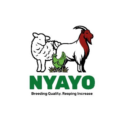 Nyayo Farms Profile