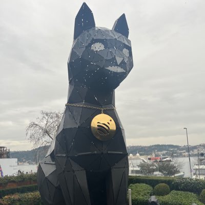 •explore• •web 3• •good-cat• @JupiterExchange n/acc @N1Chain