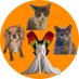 Wilo, Garth, Haiku love always 😇RYKER😇 (@sitchycats31017) Twitter profile photo Wilo, Garth, Haiku love always 😇RYKER😇 (@sitchycats31017) Twitter profile photo