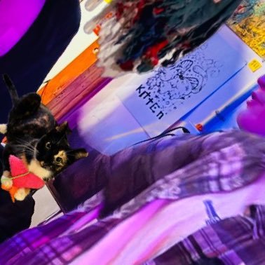 indieandyallen's profile picture. hell if i know what’s going on