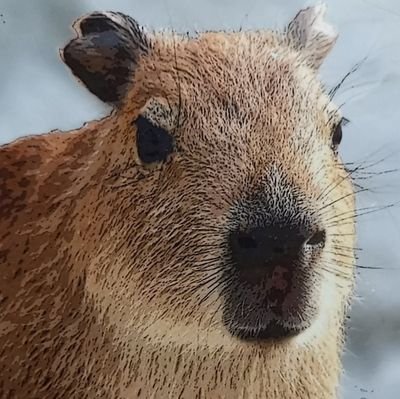 sin_kooki's profile picture. 