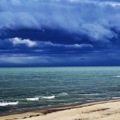 taliskerur's profile picture. Aburrido, aclaro que soy liberal pero no me representa ningún partido. Votaré anulado.