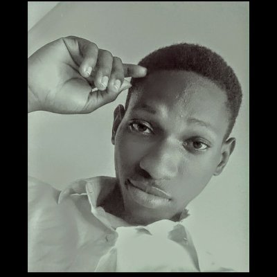 AmadasunSamuel's profile picture. Data Entry Expert || Data Analyst || Desktop Publisher || Graphics Designer || Data Engineer in view