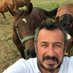Haluk Seyok (@binefatciftligi) Twitter profile photo Haluk Seyok (@binefatciftligi) Twitter profile photo