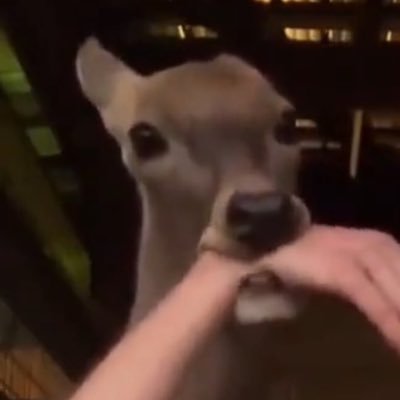 PR0Xiii's profile picture. 