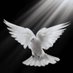 PALOMA🕊️ (@luka71858580) Twitter profile photo PALOMA🕊️ (@luka71858580) Twitter profile photo