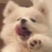 无边际维修部 (@bxwjbw) Twitter profile photo 无边际维修部 (@bxwjbw) Twitter profile photo