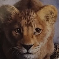 ココア (@m_u_a_mua) 's Twitter Profile