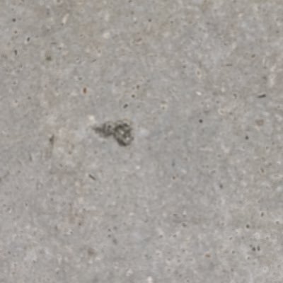 Srednier's profile picture. 