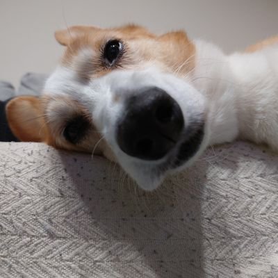 たけのすけ。さんのプロフィール画像
