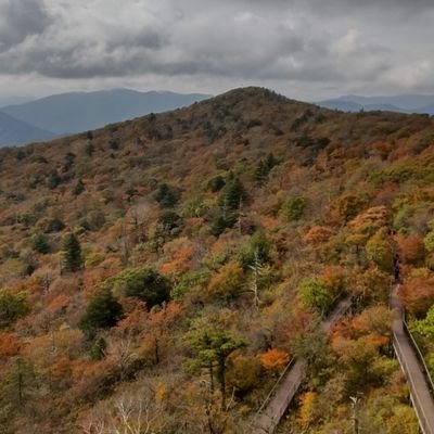 6R7dWFCv3A18289's profile picture. 統一原理の真理性を訴えるために投稿しております。