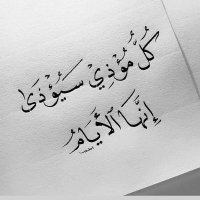 الطير المهاجر (@mm777777787777) 's Twitter Profile