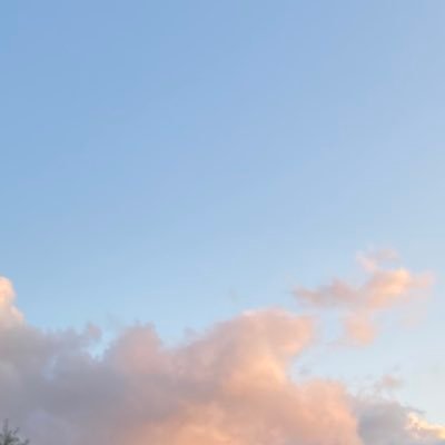 カニさんのプロフィール画像