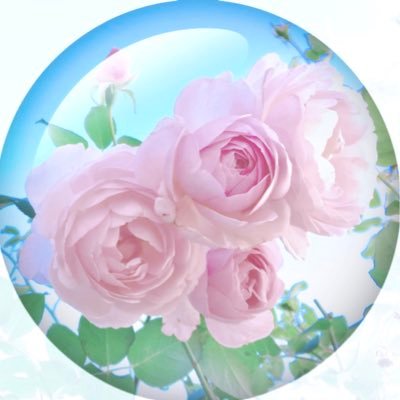 mahocam's profile picture. 晴レ女🌞空観察🤳🦈🌸