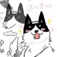 低電量的🐻 (@littlebear0420) 's Twitter Profile
