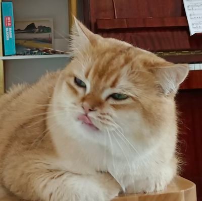 ititaolo's profile picture. 😳😳