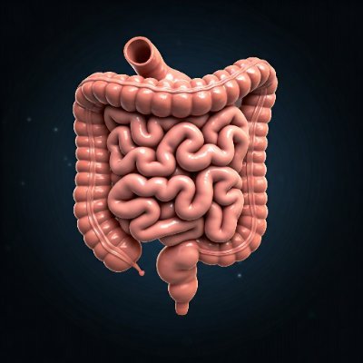 Expert on Skin & Gut Health | Idiopathic Skin Rash Survivor