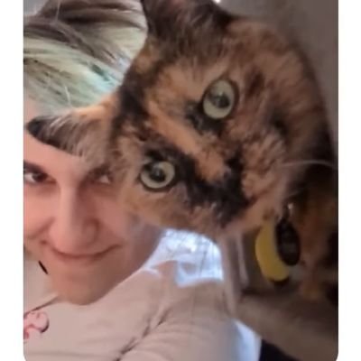 @DanversMohawk
