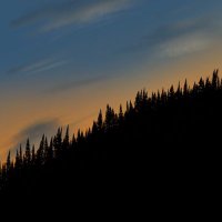 ガンタン (@blue____hawaii) 's Twitter Profile