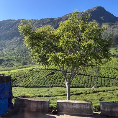 ReshaniRose's profile picture. 