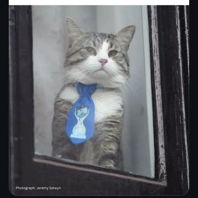 aryan_sharma315's profile picture. breaking things.