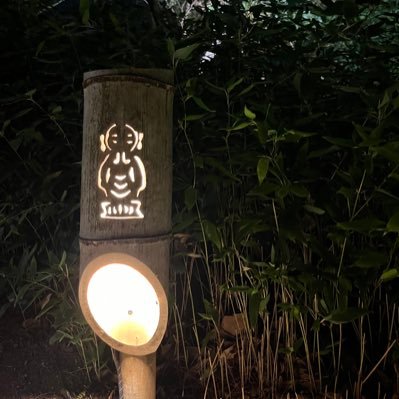 nemoさんのプロフィール画像