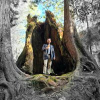 Amit Kumar Sharma (@iamitkumars) 's Twitter Profile Photo Amit Kumar Sharma (@iamitkumars) 's Twitter Profile Photo