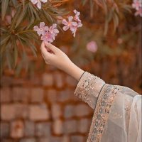 Gulnaz (@gulnazbegam9) 's Twitter Profile
