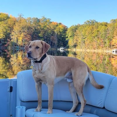 PeggyA438883's profile picture. No dm's. #instablock