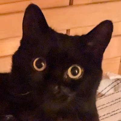 devdekarn's profile picture. 