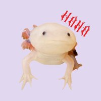 よっち✯ (@yoo_p101g) 's Twitter Profile