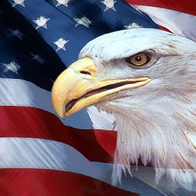 America First. Army Vet. 82nd Airborne Division. Anti corrupt government, both parties. Shadowbanned with throttled visibility. No DM's. No Crypto. No Porn.