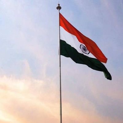 n_qureshi77285's profile picture. 