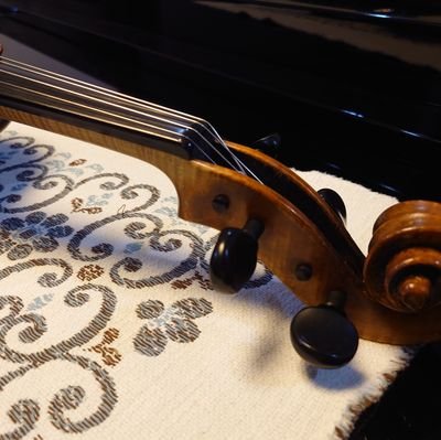 nishimura_yuria's profile picture. 