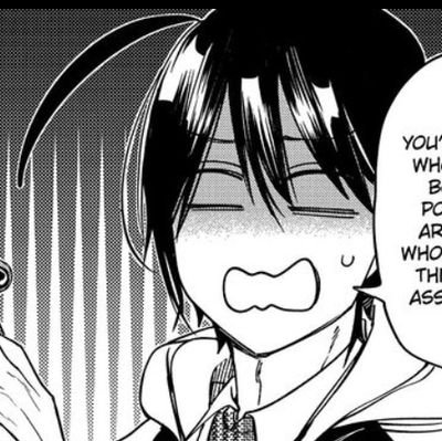 mulfan & multi-shipper (❁´◡`❁) manga & anime content only!
