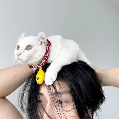 bibbibbabe's profile picture. น้องบิ๊บของคุณแม่หล่อมาก @biblesumett | #bsumbody | #วัคซีนของพี่เจษ (fan account)