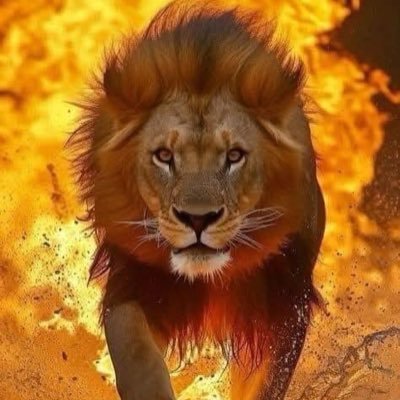 ba14741's profile picture. 