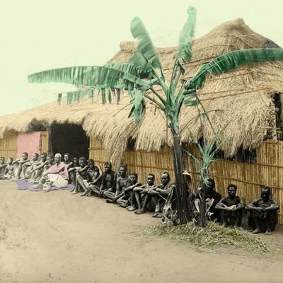 xuxanatola78032's profile picture. 