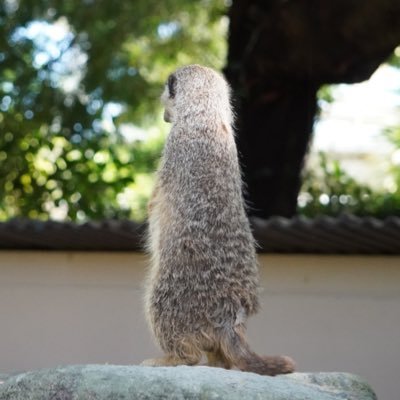 ヱノアさんのプロフィール画像