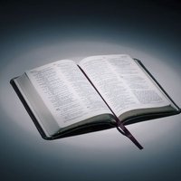 Daily Scriptures🇮🇱 (@scriptural15213) 's Twitter Profile