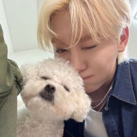 cha (@wonforboo) 's Twitter Profile