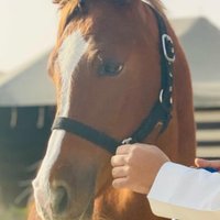 جوجو (@mblmjd114387) 's Twitter Profile