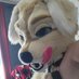 Dash ๐CFz, AC (@dash_hotdawg) Twitter profile photo Dash ๐CFz, AC (@dash_hotdawg) Twitter profile photo