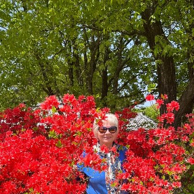 nSemko3's profile picture. No room for dreaming. Chartered my course & did what I loved. Educator, author. Stand against ruzzian invasion, propaganda, terrorism. 🇺🇸🇺🇦 Anti MAGA.